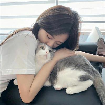 九辫妖狐